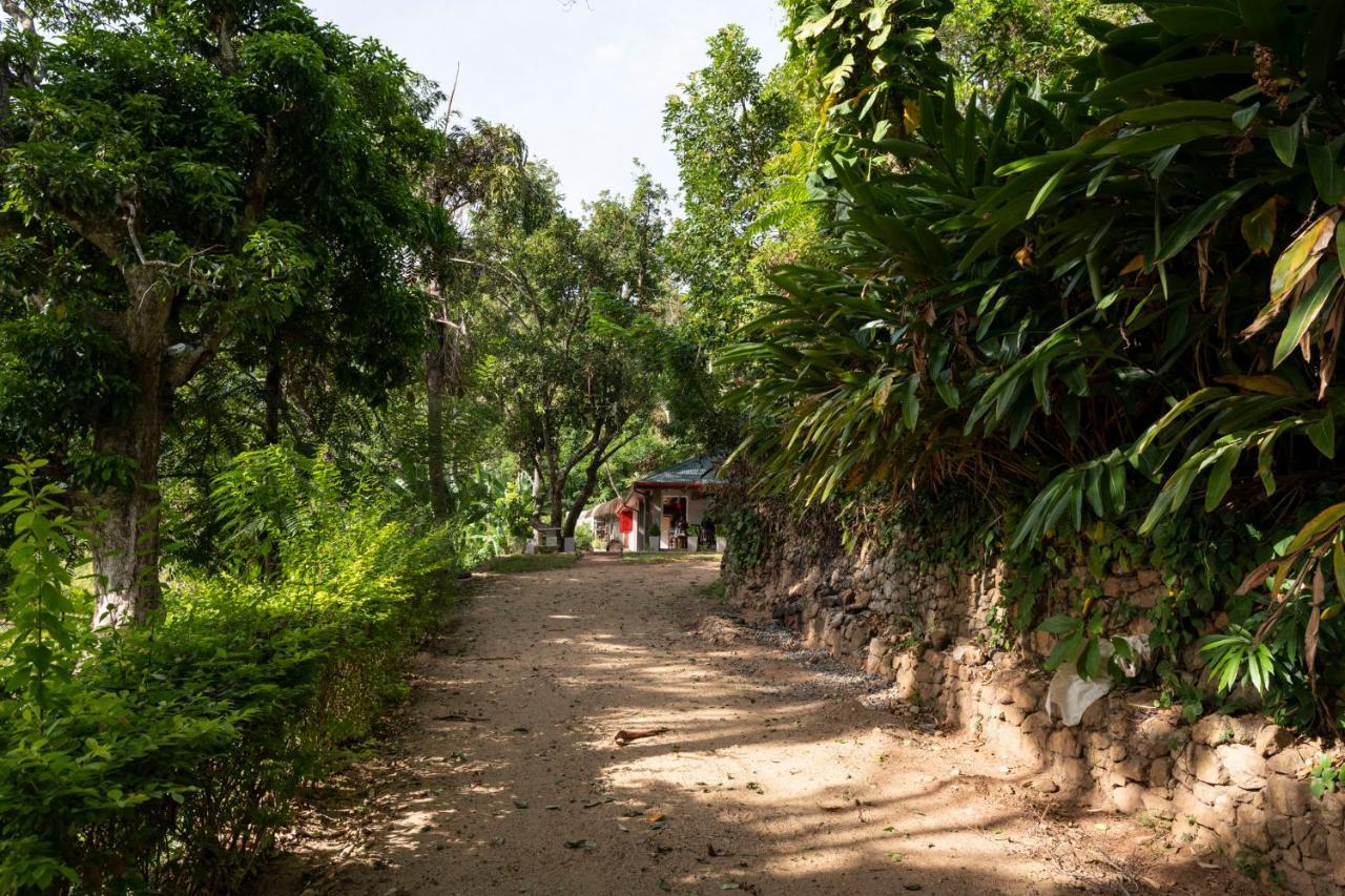 Roseland Cottages باندارافيلا المظهر الخارجي الصورة