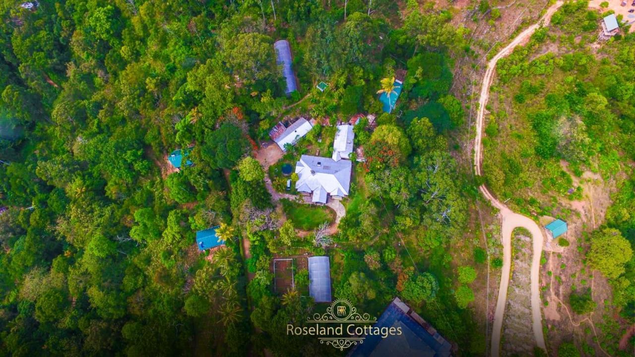 Roseland Cottages باندارافيلا المظهر الخارجي الصورة