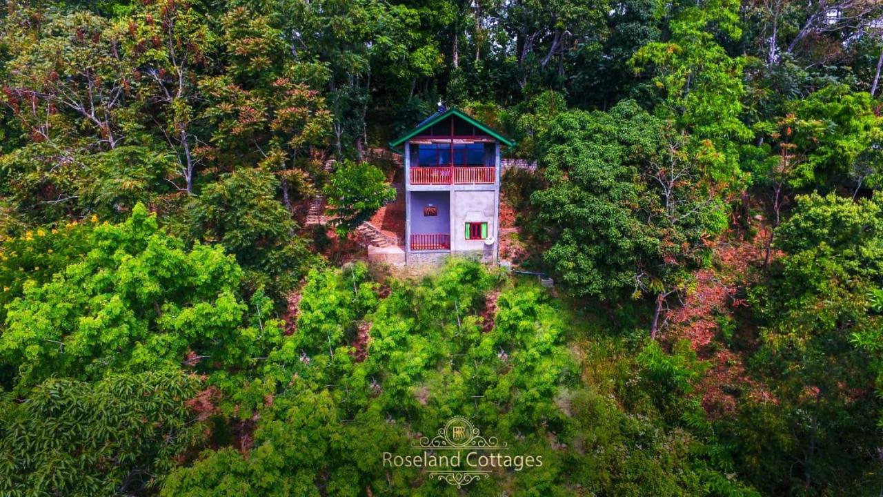 Roseland Cottages باندارافيلا المظهر الخارجي الصورة