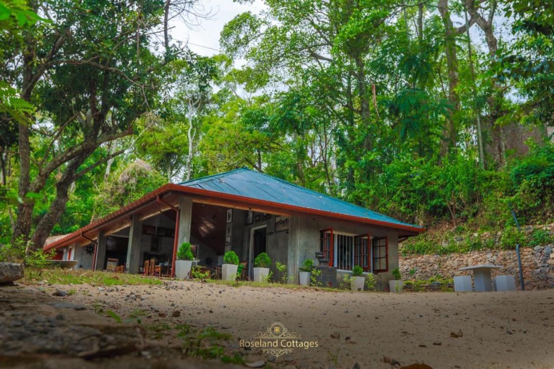 Roseland Cottages باندارافيلا المظهر الخارجي الصورة